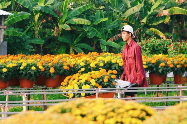 Chợ-hoa-tết-an-giang