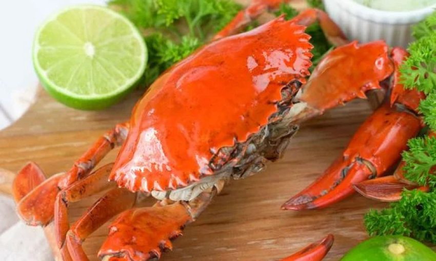 Cua Cà Mau hấp