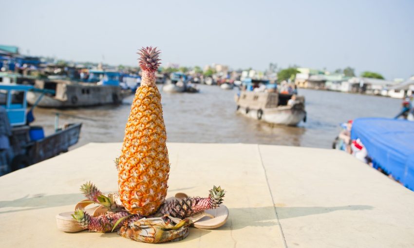 Đi du lịch Cần Thơ khi nào?