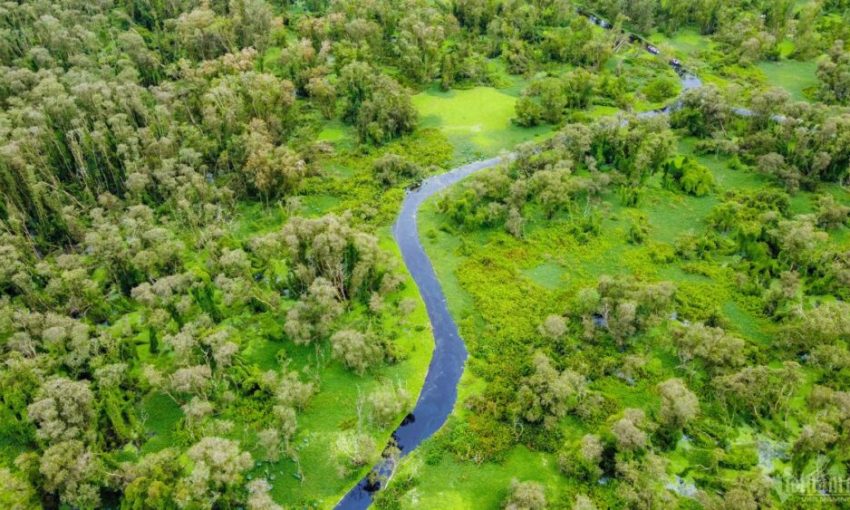 Rừng Tràm Trà Sư