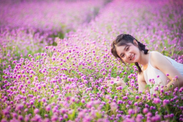 Vườn hoa Mãn Đình Hồng