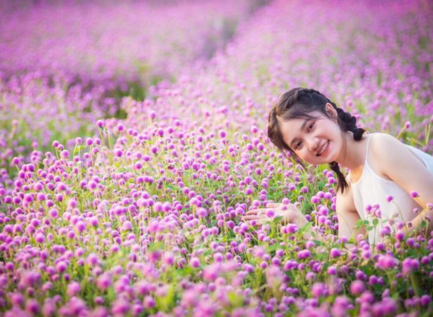 Vườn hoa Mãn Đình Hồng