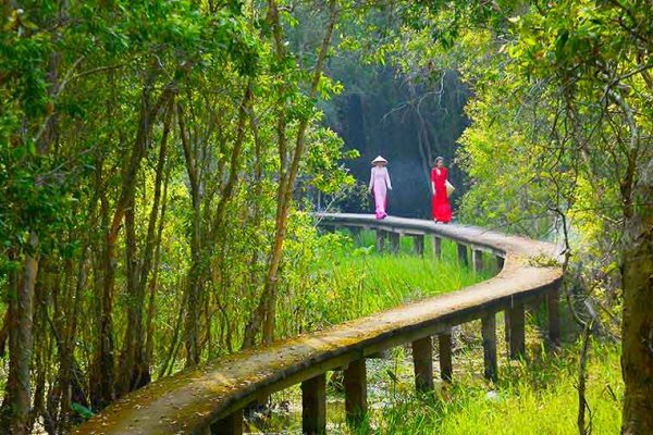 check in đường đan