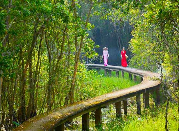 check in đường đan