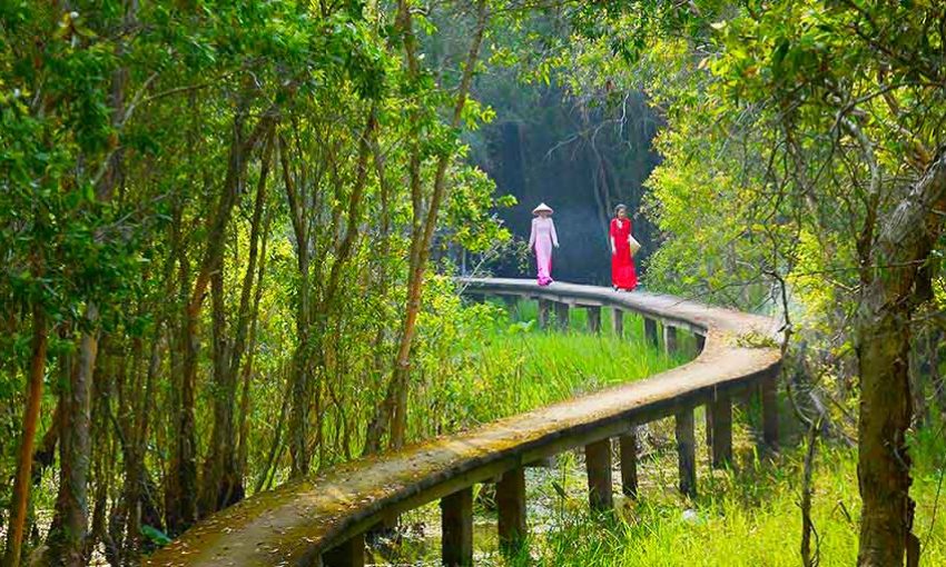 check in đường đan