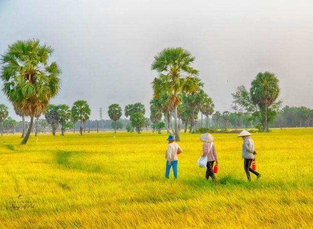An Giang